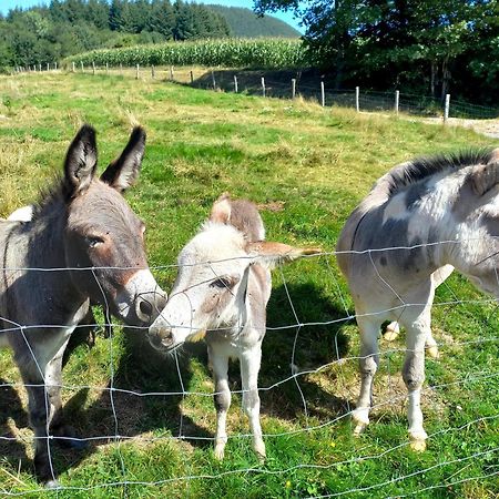 La Petite Ferme Villa La Chapelle  Bagian luar foto